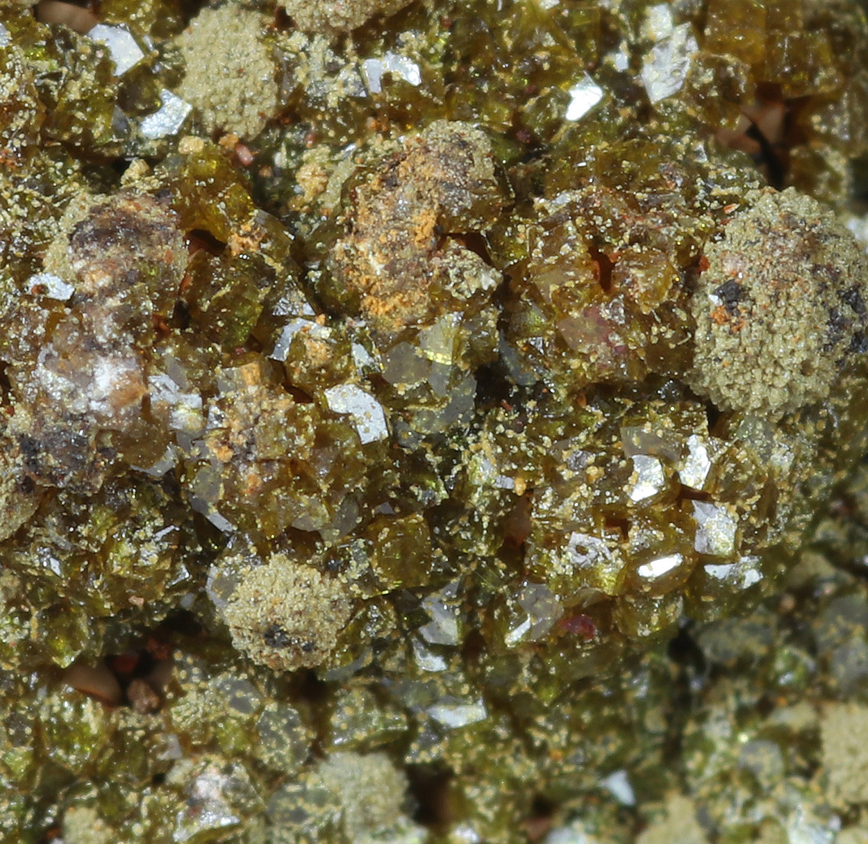 Natropharmacosiderite & Arseniosiderite