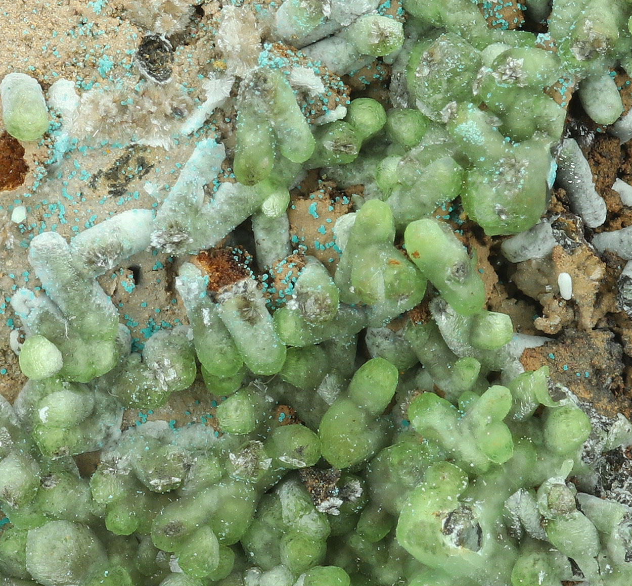 Smithsonite Hemimorphite & Aurichalcite