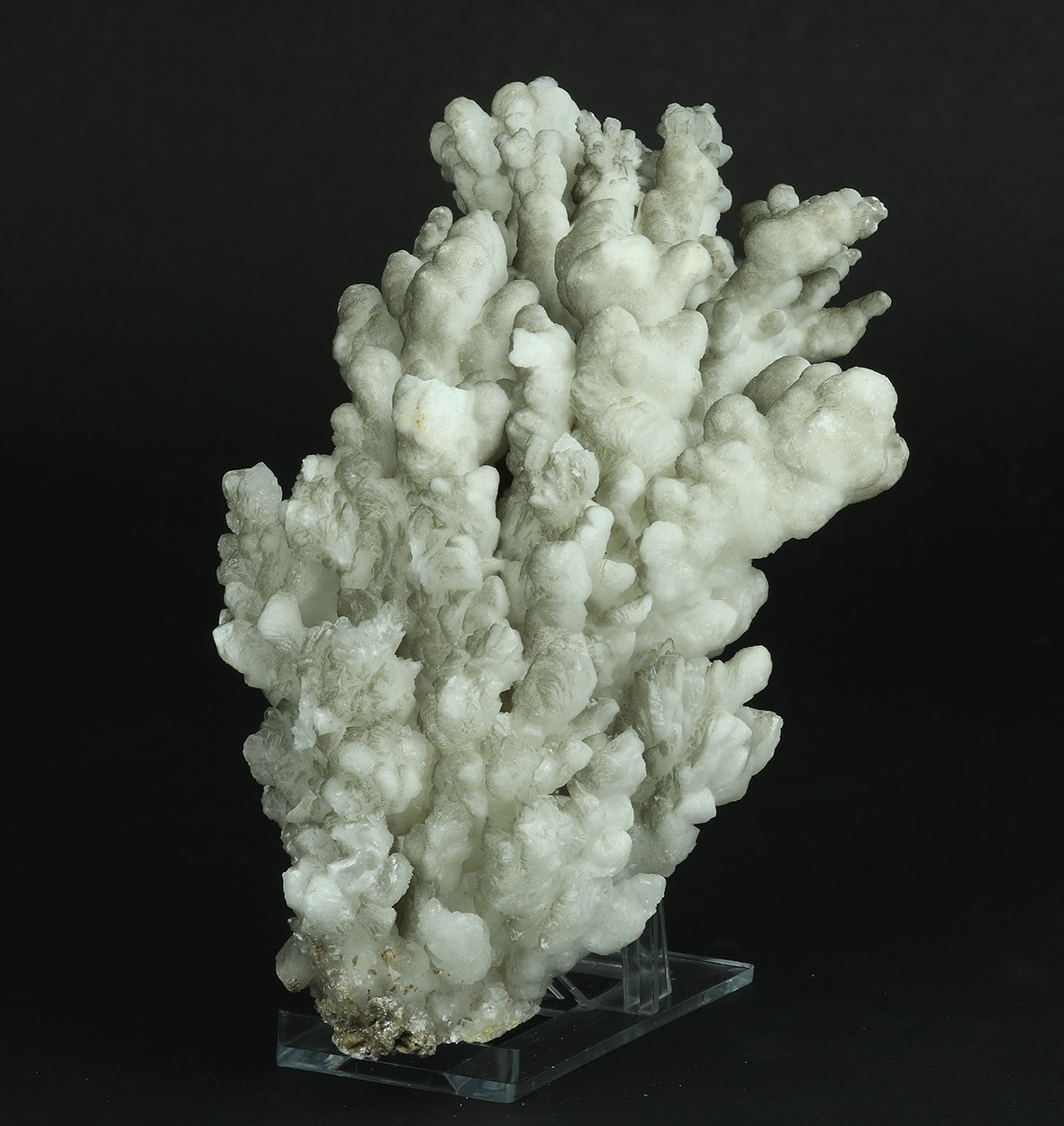 Aragonite