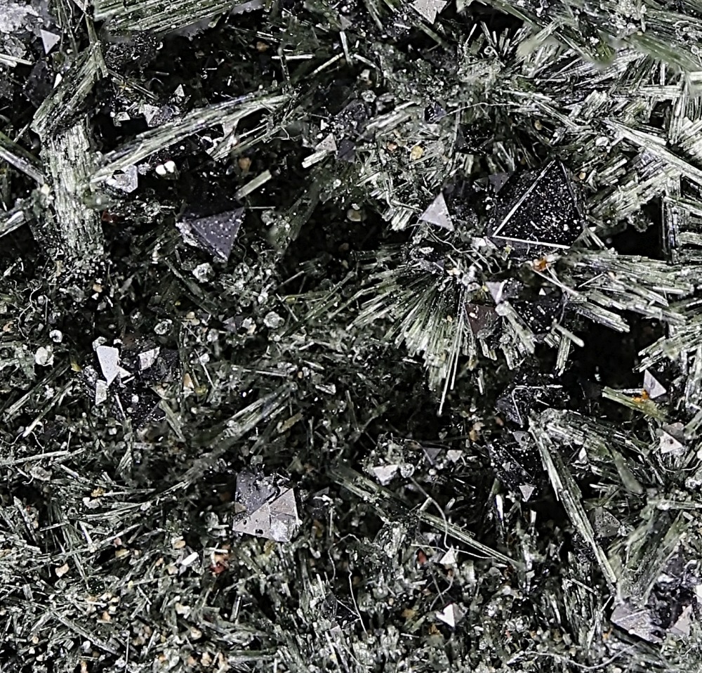 Actinolite & Magnetite