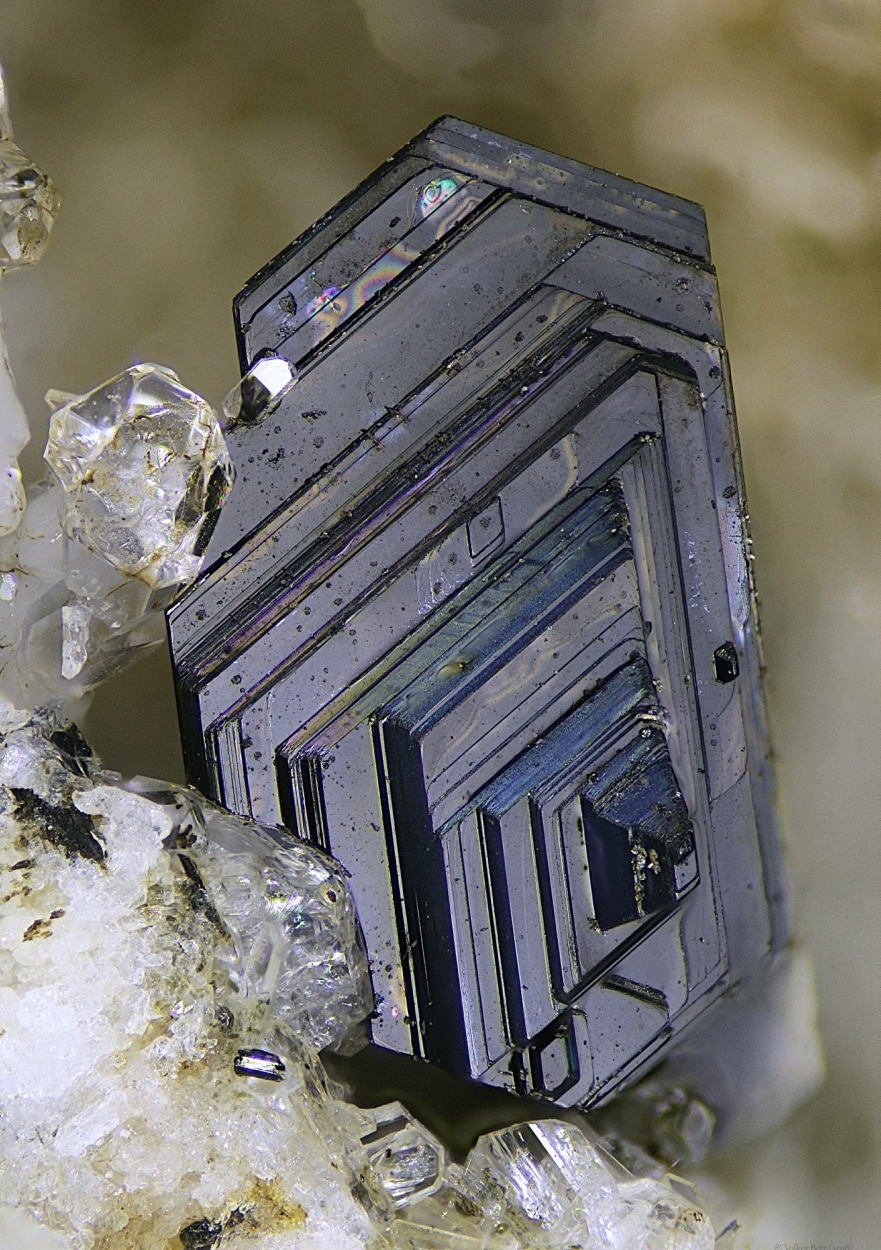 Biotite