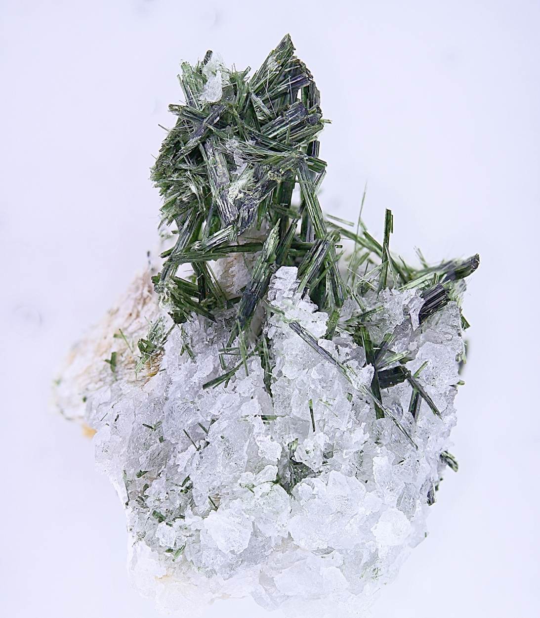 Actinolite