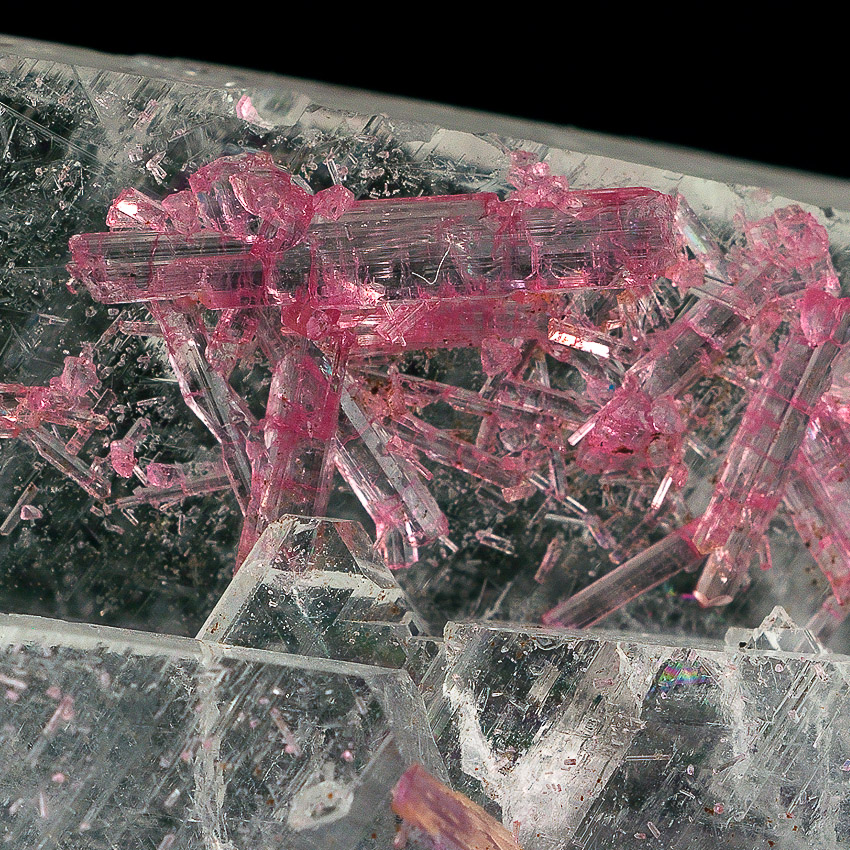 Cleavelandite & Tourmaline Var Rubellite