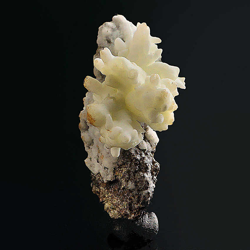 Aragonite Var Flos Ferri