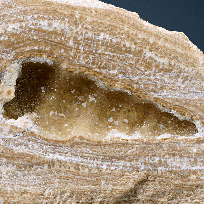 Calcite Psm Fossil