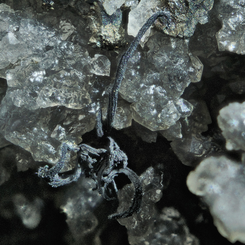 Silver Acanthite & Argentopyrite