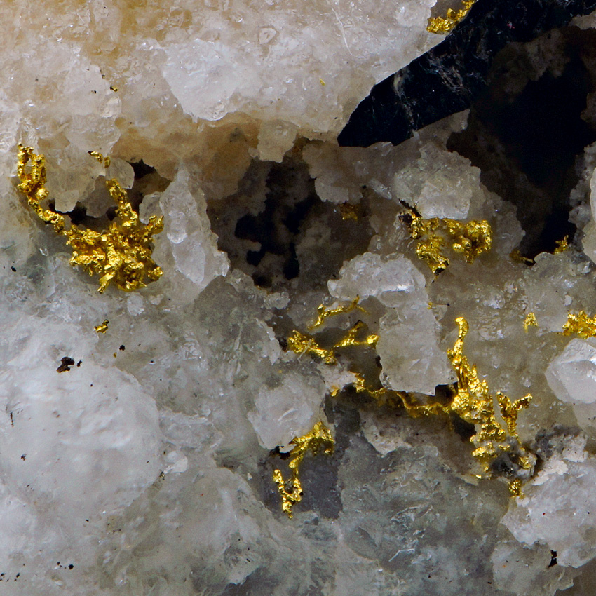 Gold & Ferberite