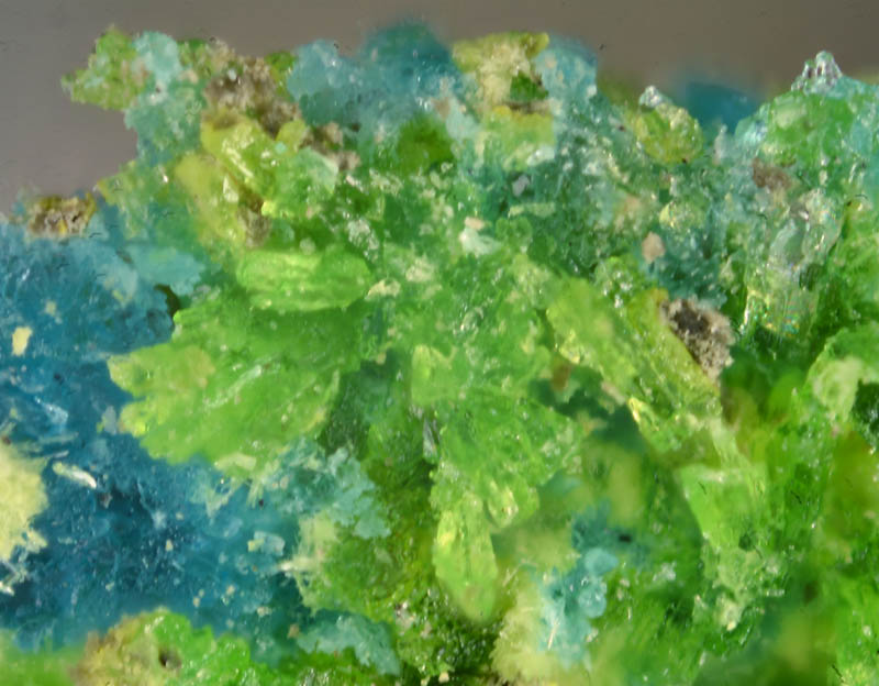 Johannite