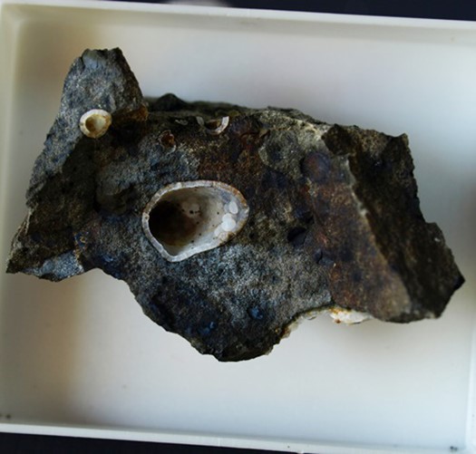 Cowlesite