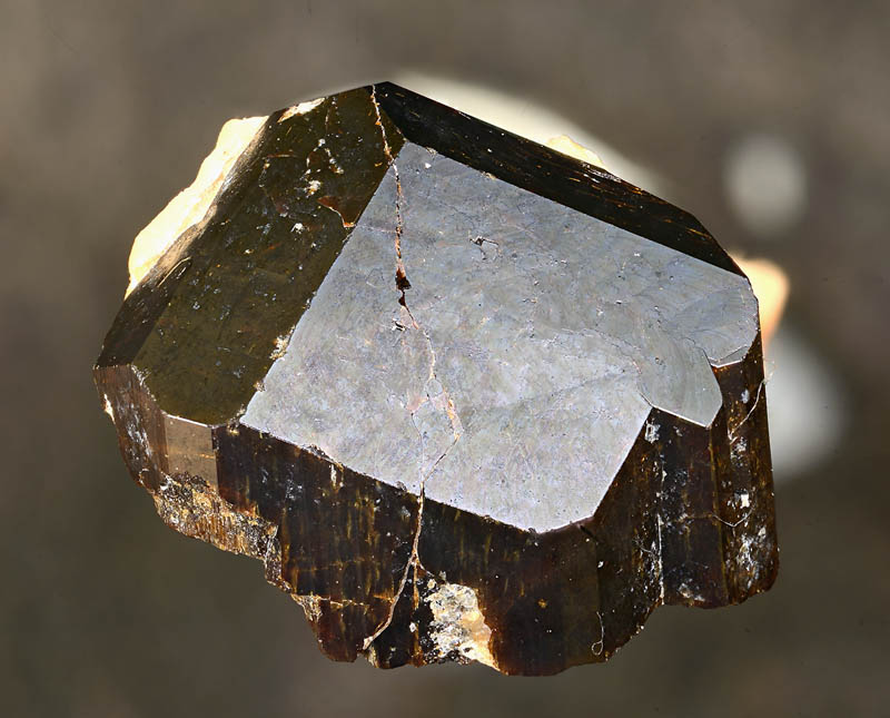 Fluor-buergerite