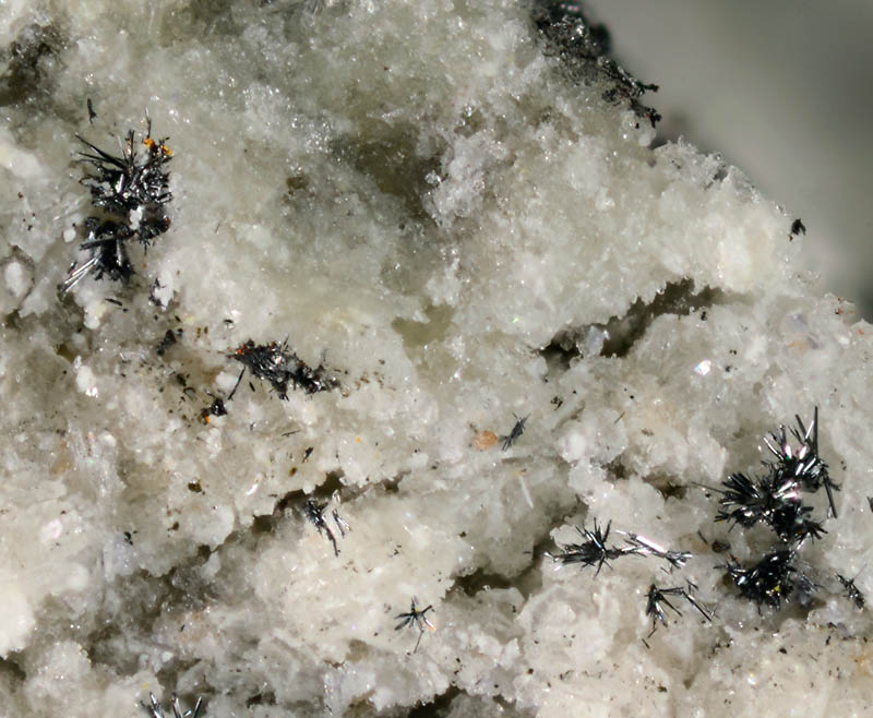 Demicheleite-(I)