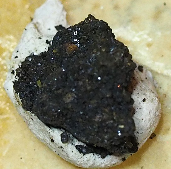 Doloresite