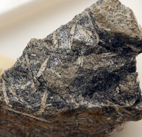 Holtite
