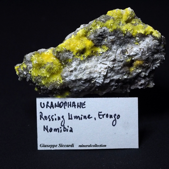 Uranophane