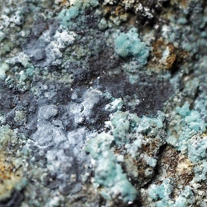 Chlorargyrite & Rruffite