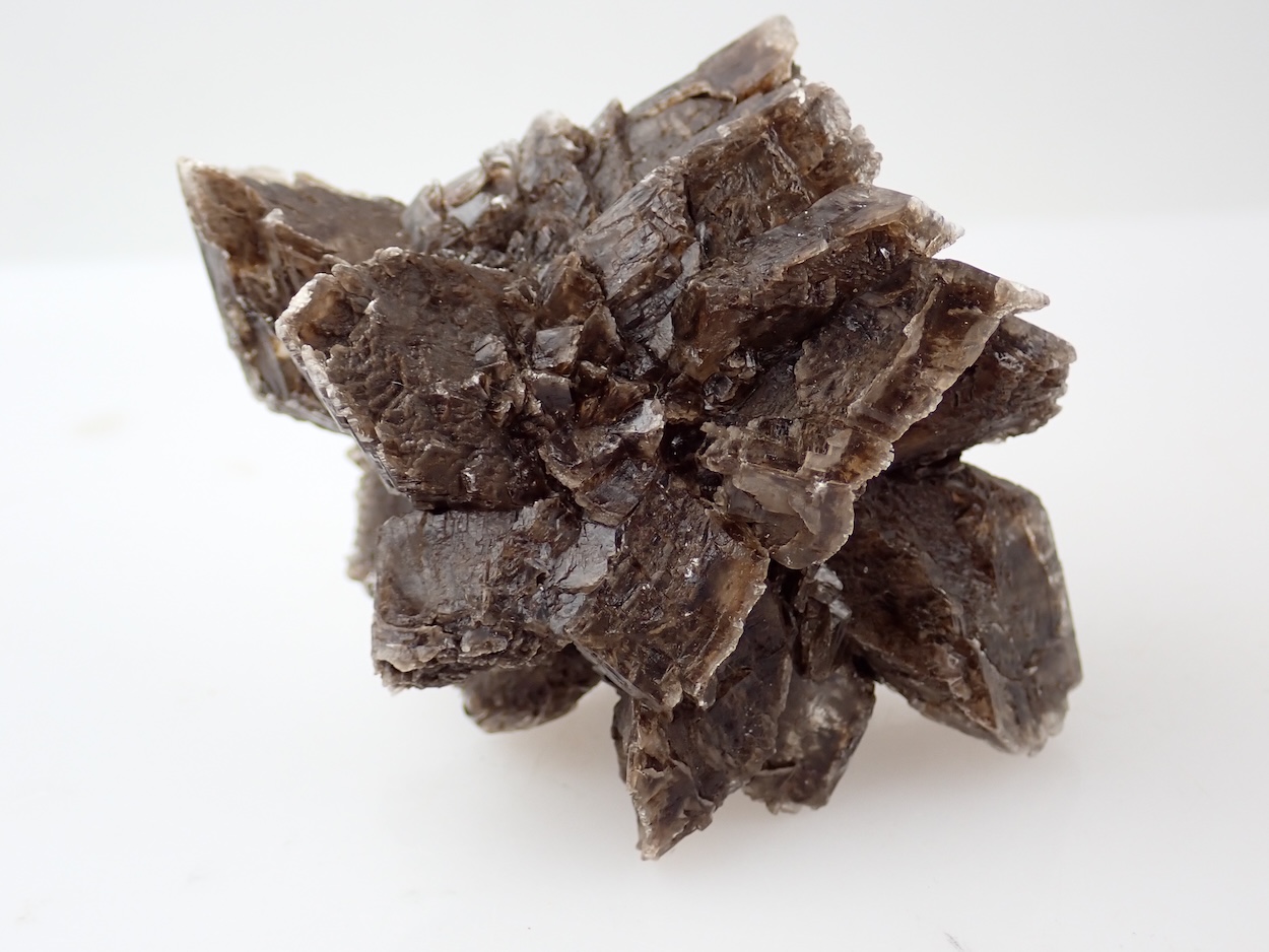 Ozocerite In Gypsum
