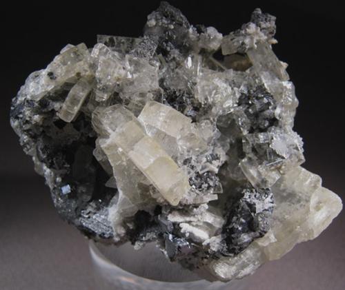 Baryte With Galena