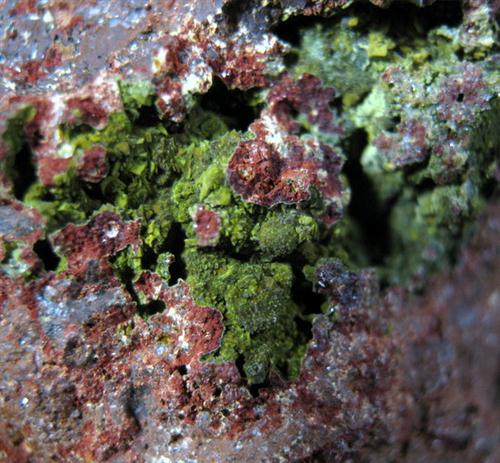 Chenevixite & Scorodite With Calcite