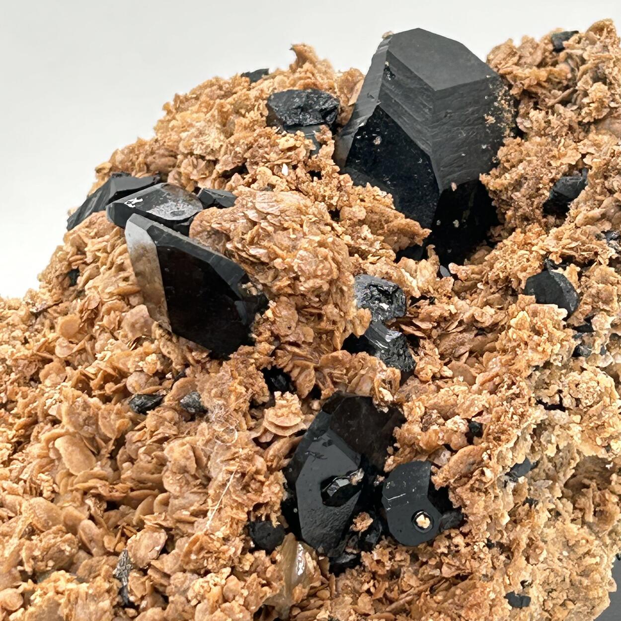 Schorl & Anhydrite