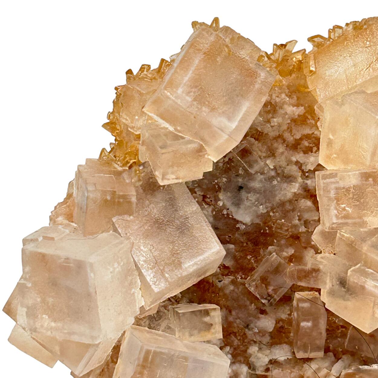 Halite & Gypsum