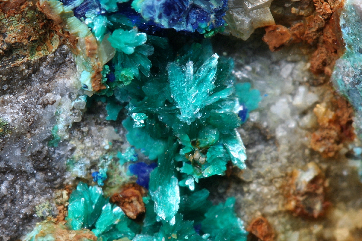 Tangdanite & Azurite