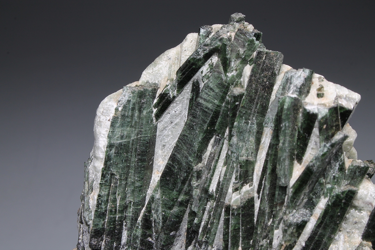 Actinolite