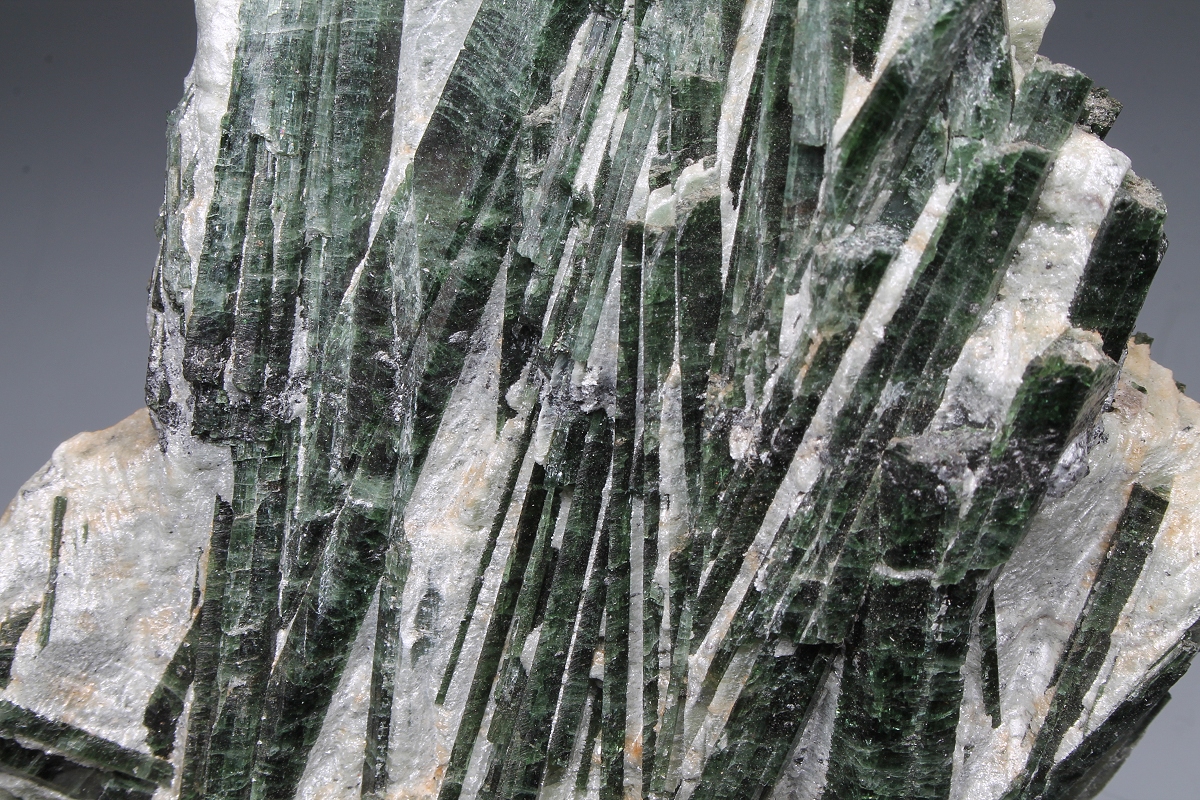 Actinolite