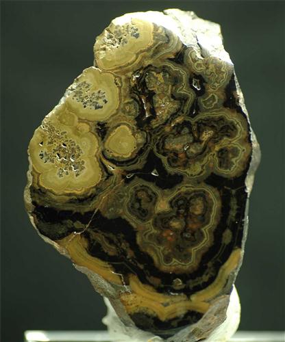 Schalenblende