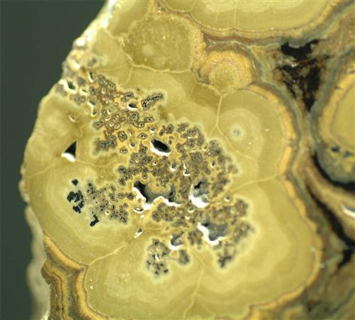 Schalenblende
