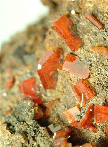 Wulfenite