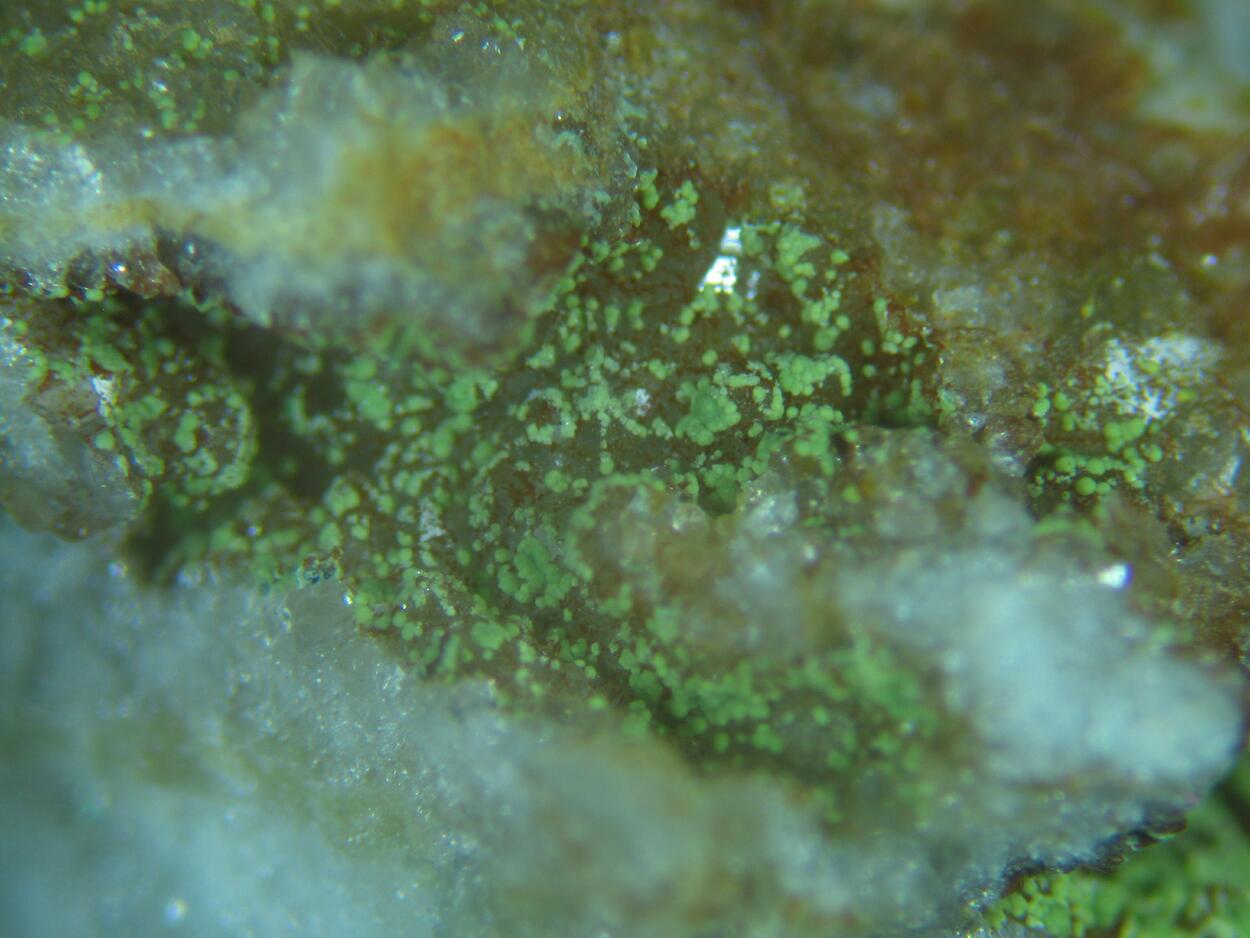 Kidwellite