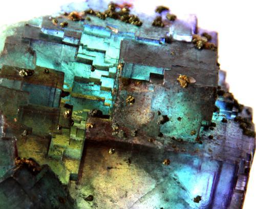 Fluorite & Chalcopyrite