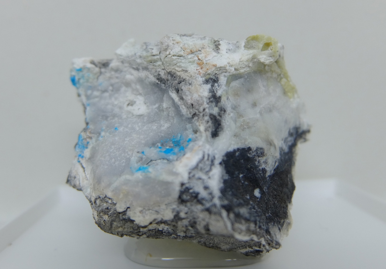 Cuatrocapaite-(NH4) Lucabindiite & Lavendulan