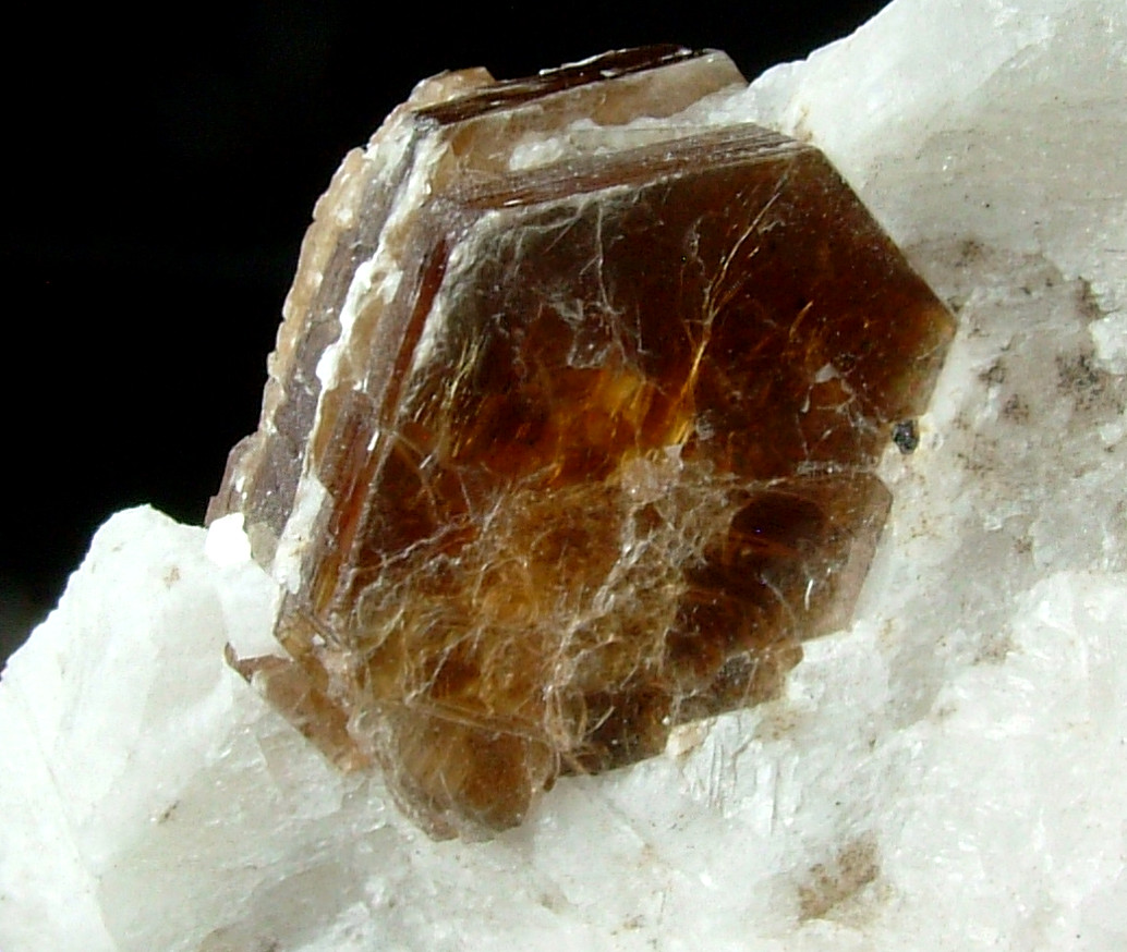 Phlogopite