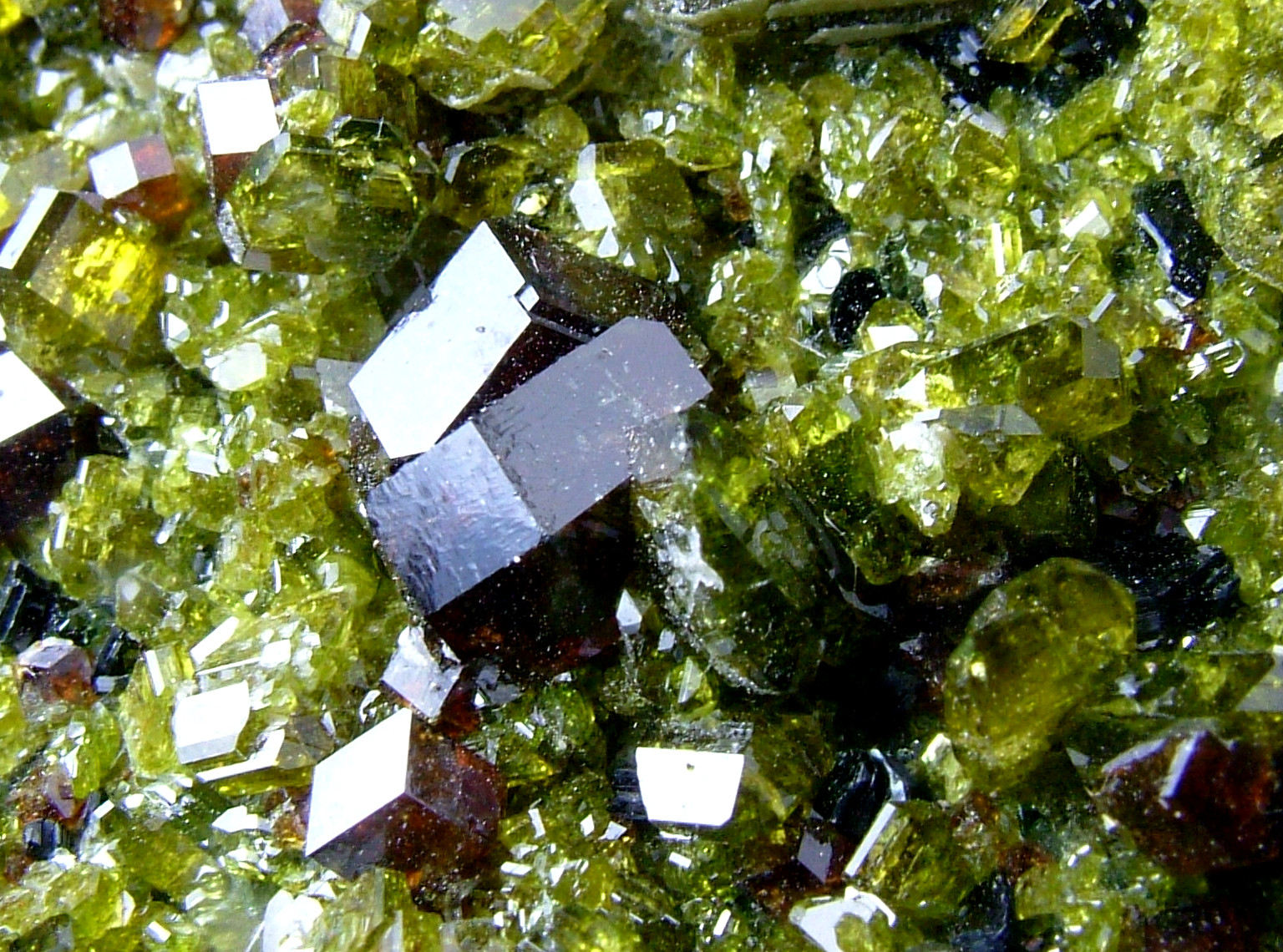 Andradite With Diopside Epidote & Clinochlore