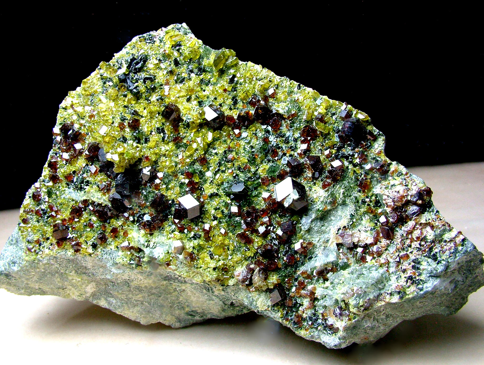 Andradite With Diopside Epidote & Clinochlore