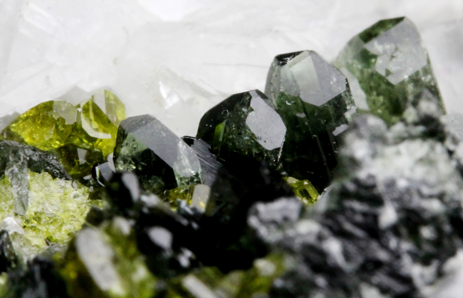 Diopside Andradite Epidote Clinochlore & Calcite