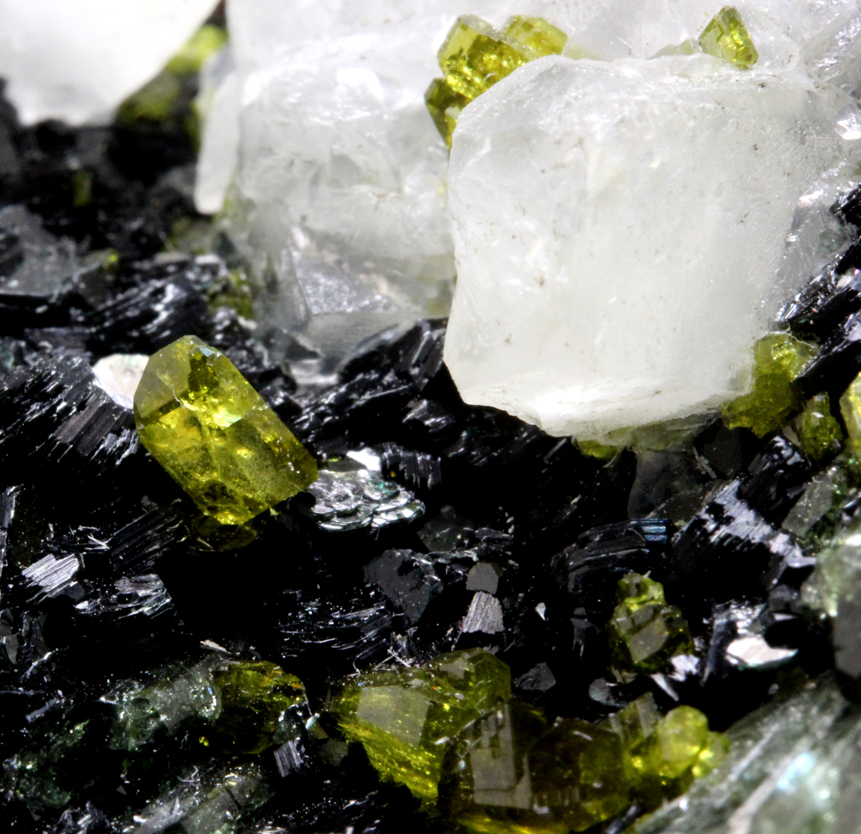 Diopside Andradite Epidote Clinochlore & Calcite