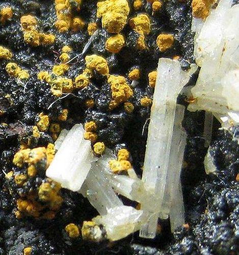 Cerussite & Pyromorphite