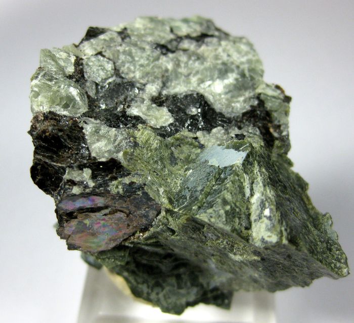 Zirkelite With Biotite In Antigorite