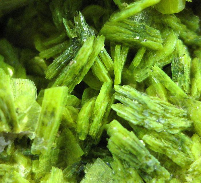 Autunite