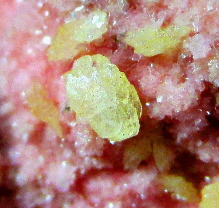 Axinite-(Mn) On Rhodonite