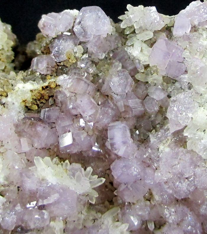 Fluorapatite