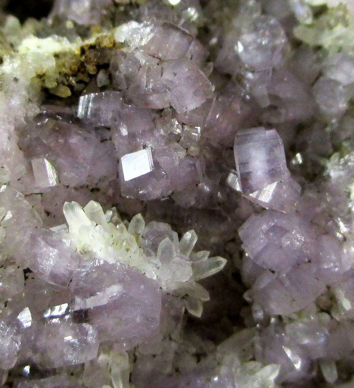 Fluorapatite