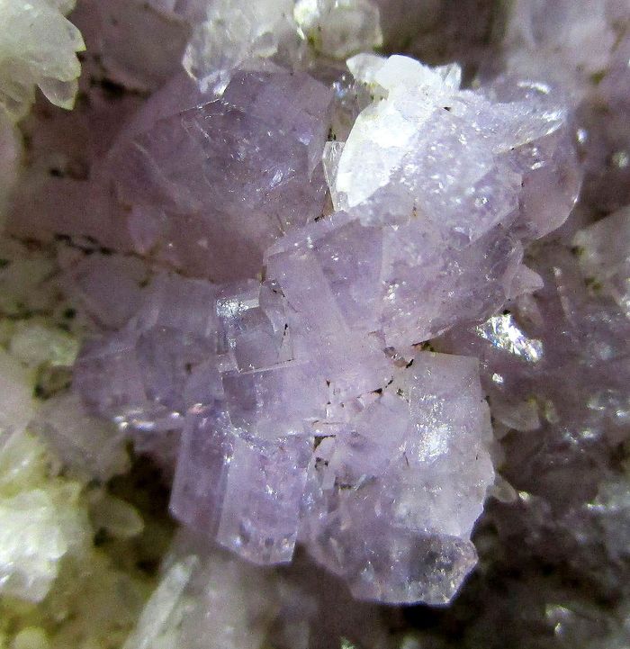 Fluorapatite