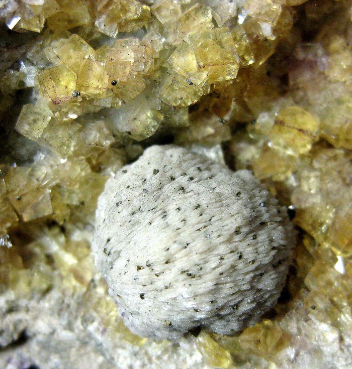 Fluorite With Baryte