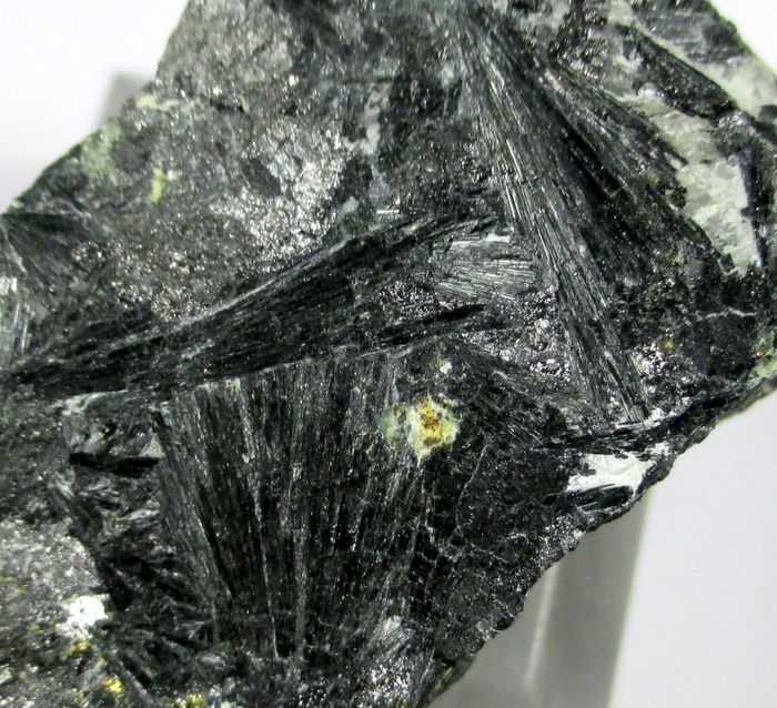 Ludwigite