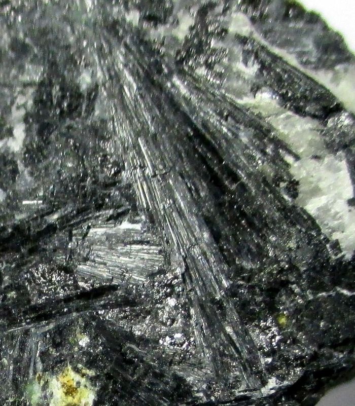 Ludwigite