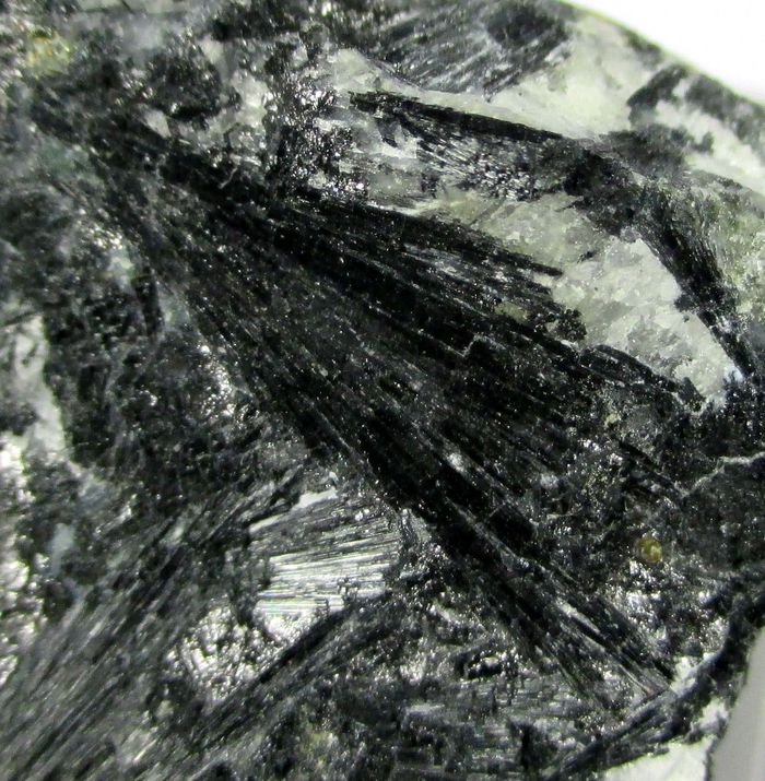 Ludwigite