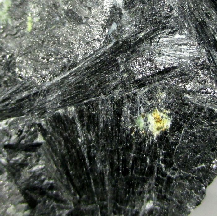 Ludwigite